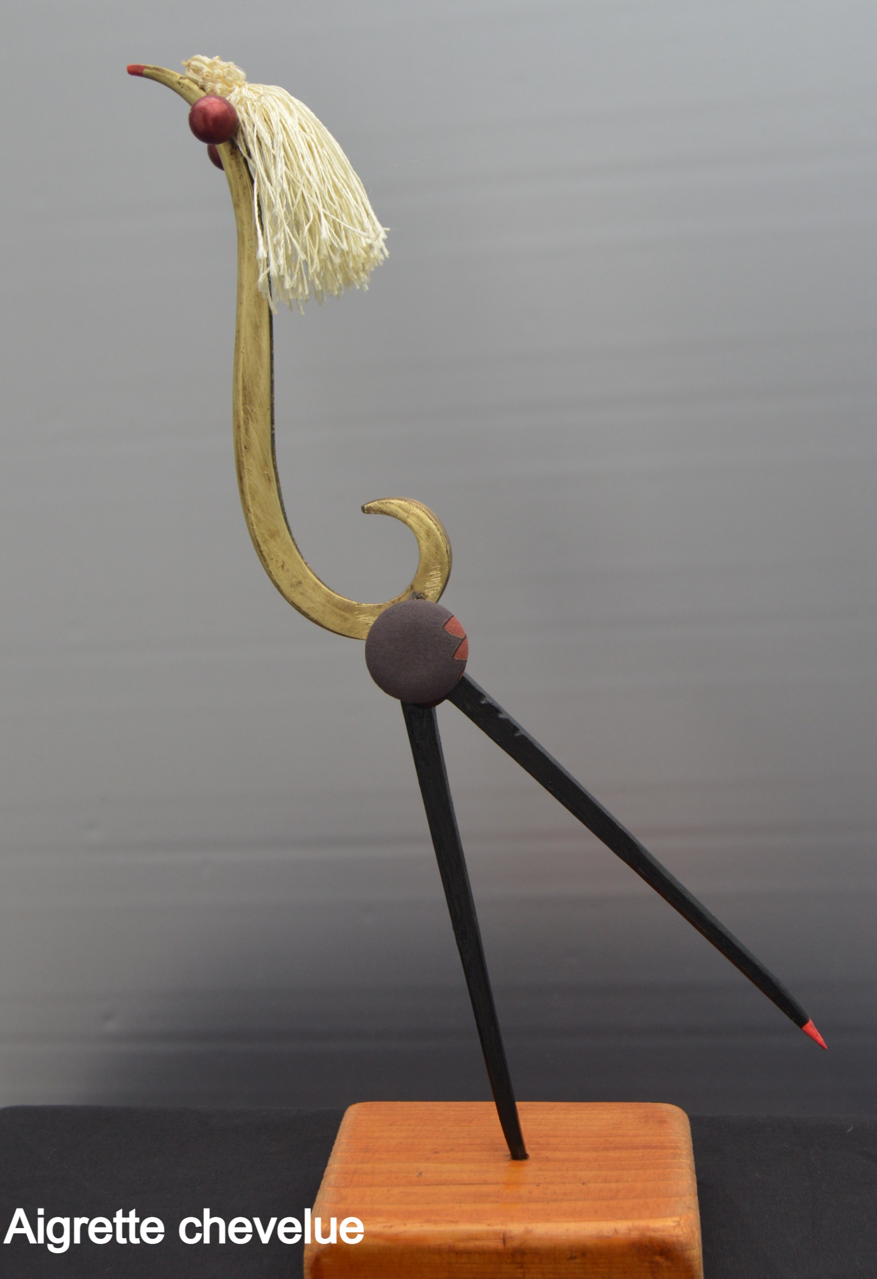 Aigrette-chevelue-recupartjacquessuet