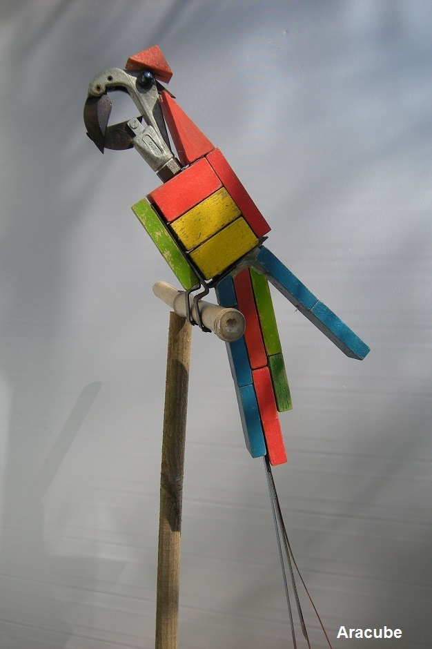 Aracube-recupartjacquessuet