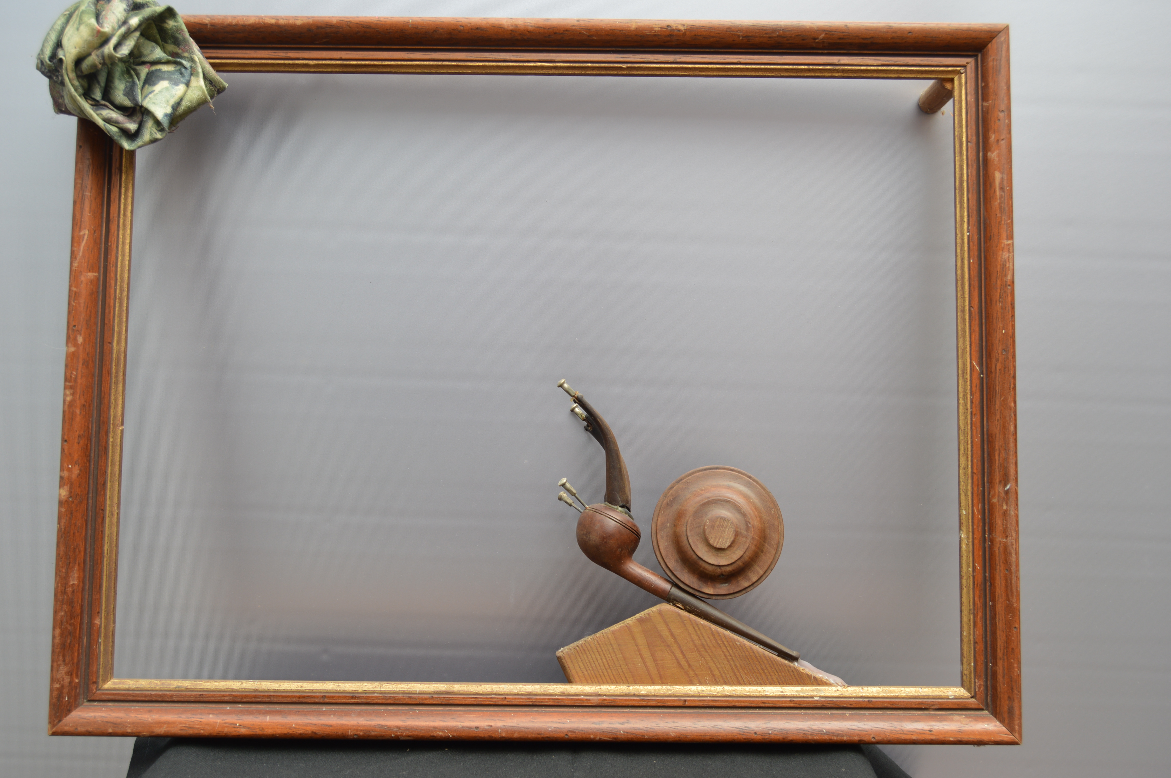 Cadre-gasteropipedeGasteropipede