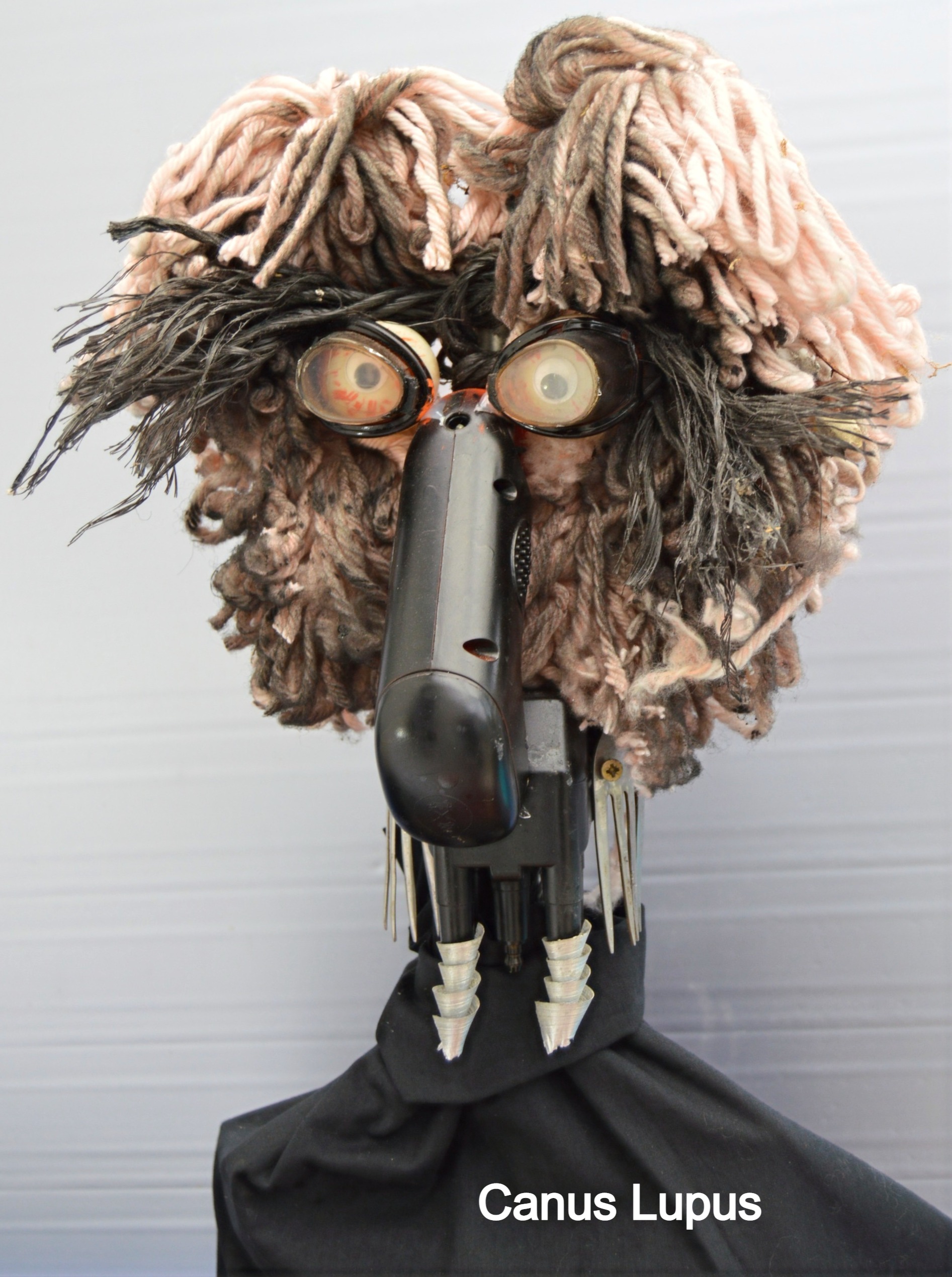 Canus-lupus-recupartjacquessuet