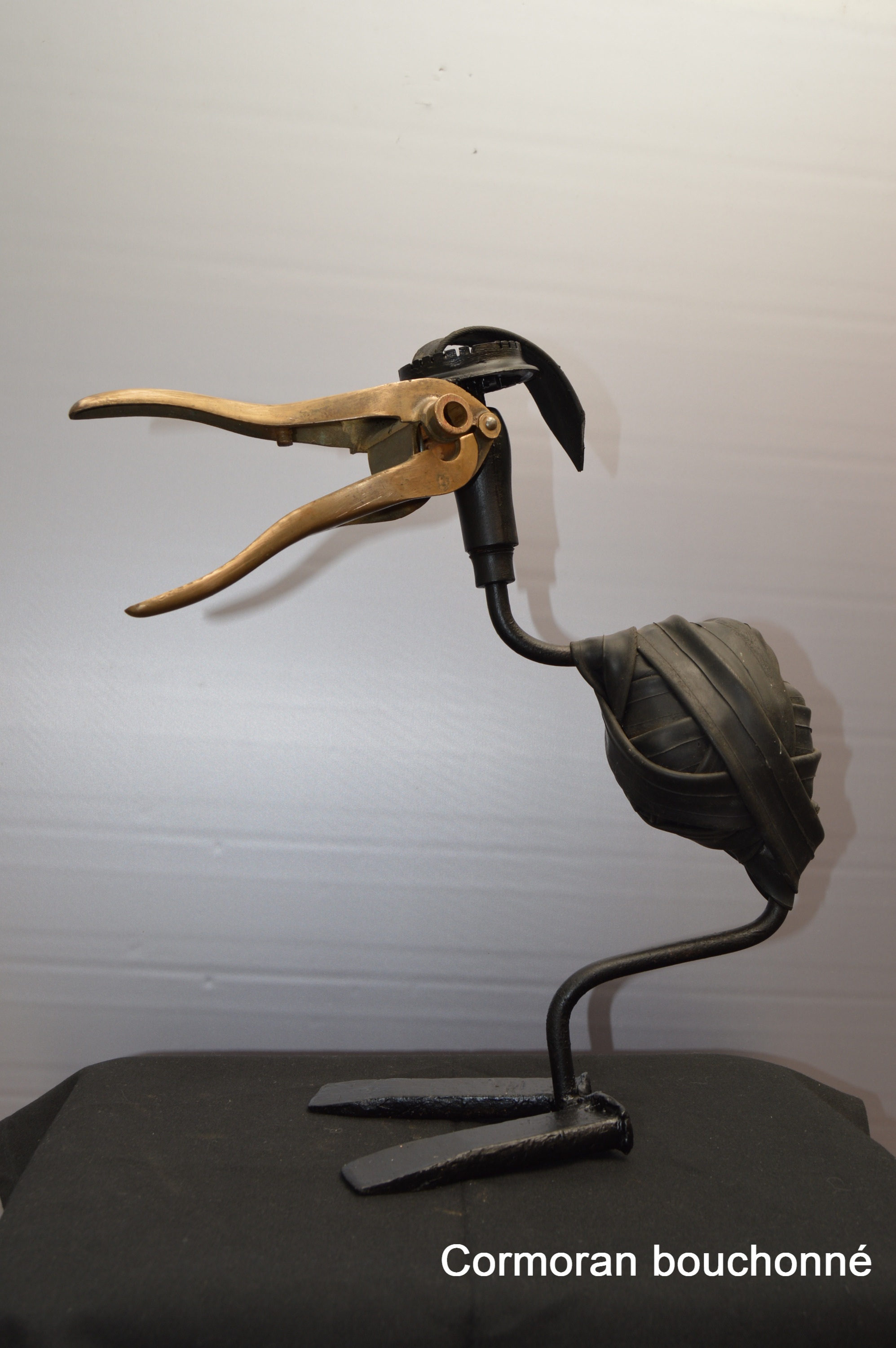 Cormoran-bouchonne-recupartjacquessuet