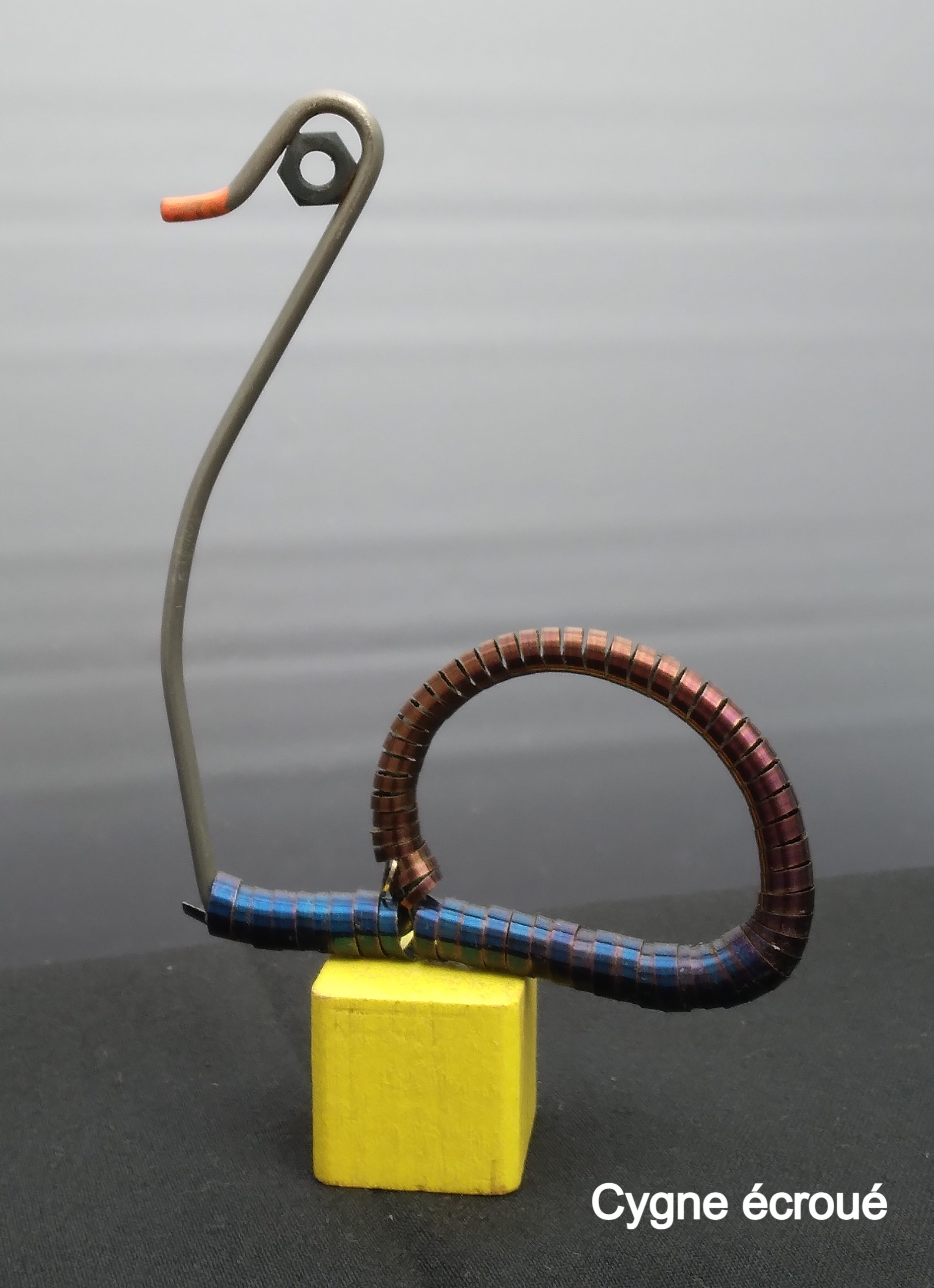 Cygne-ecroue-recupartjacquessuet