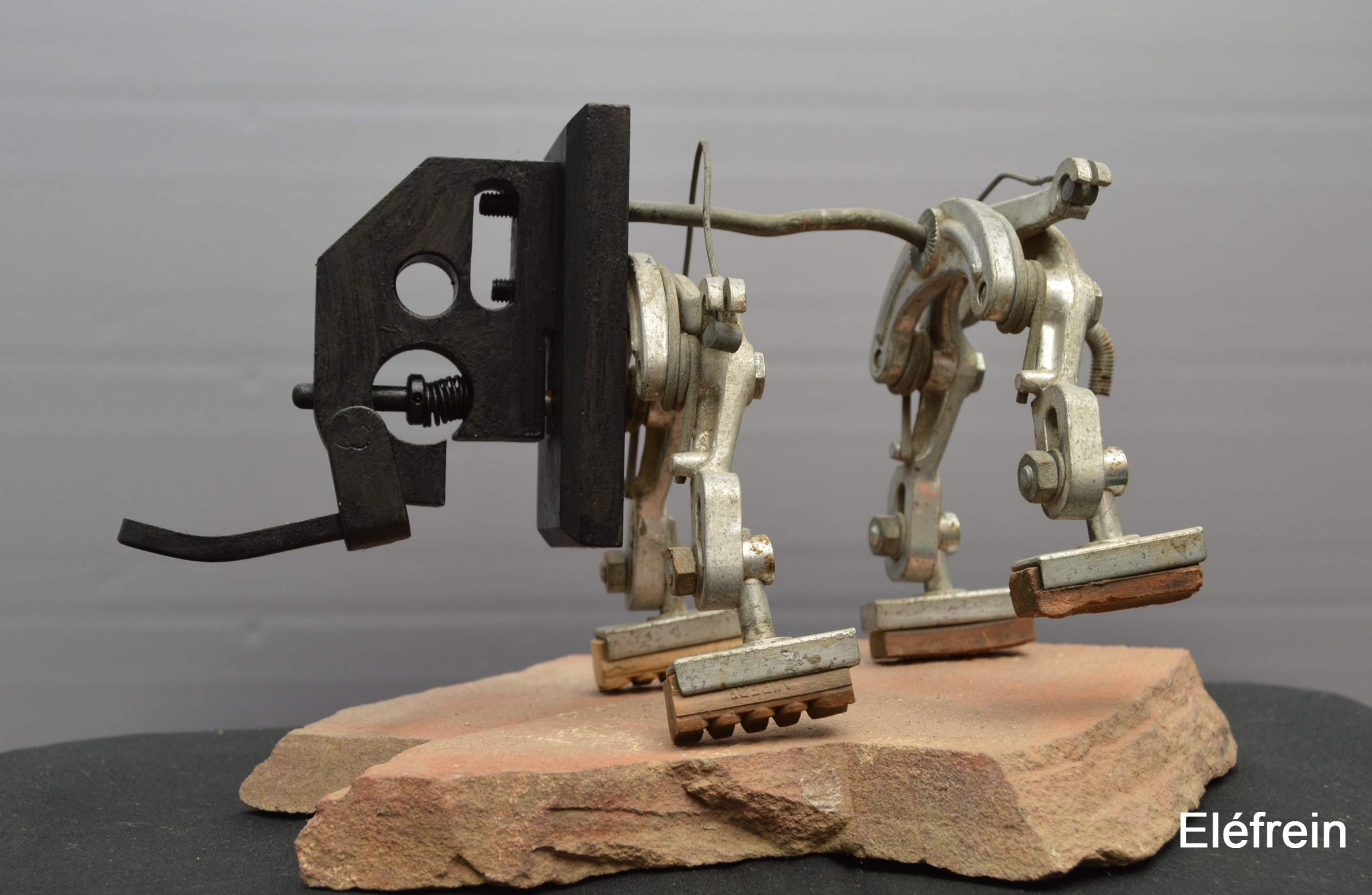 Elefrein-recupartjacquessuet