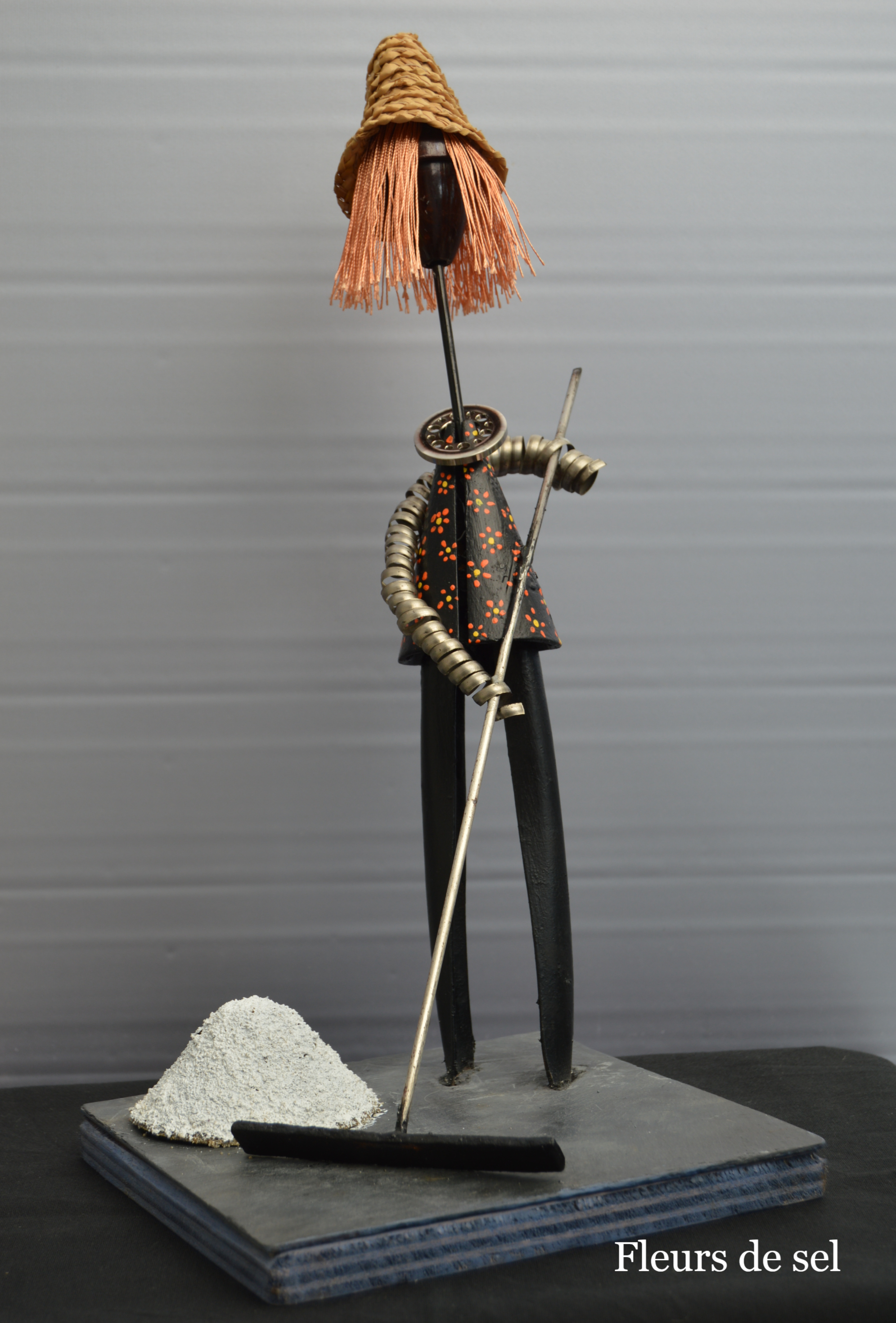 Fleurs-de-sel-recupartjacquessuet