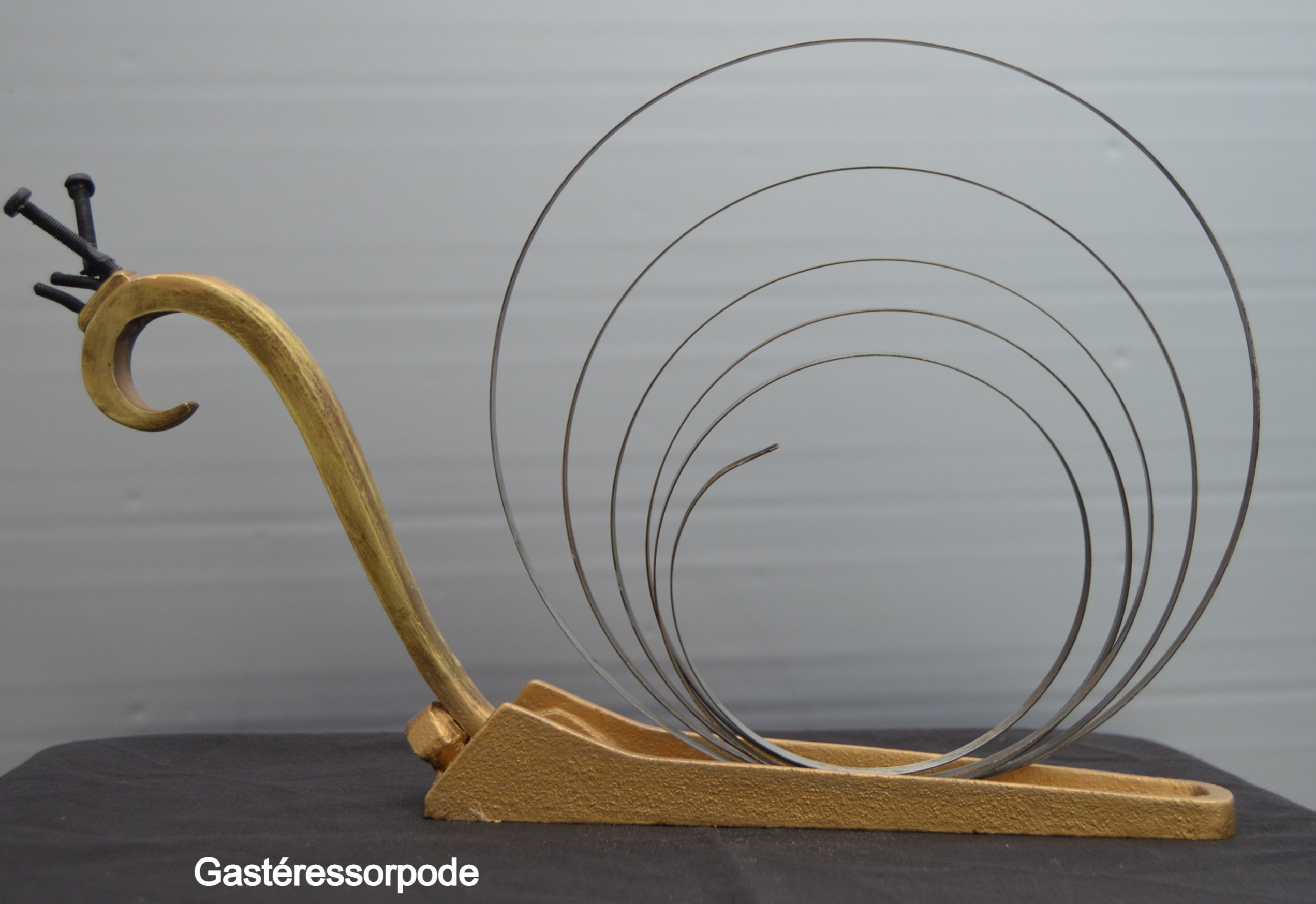 Gasteressorpode-recupartjacquessuet