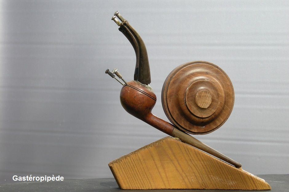 Gasteropipede-recupartjacquessuet