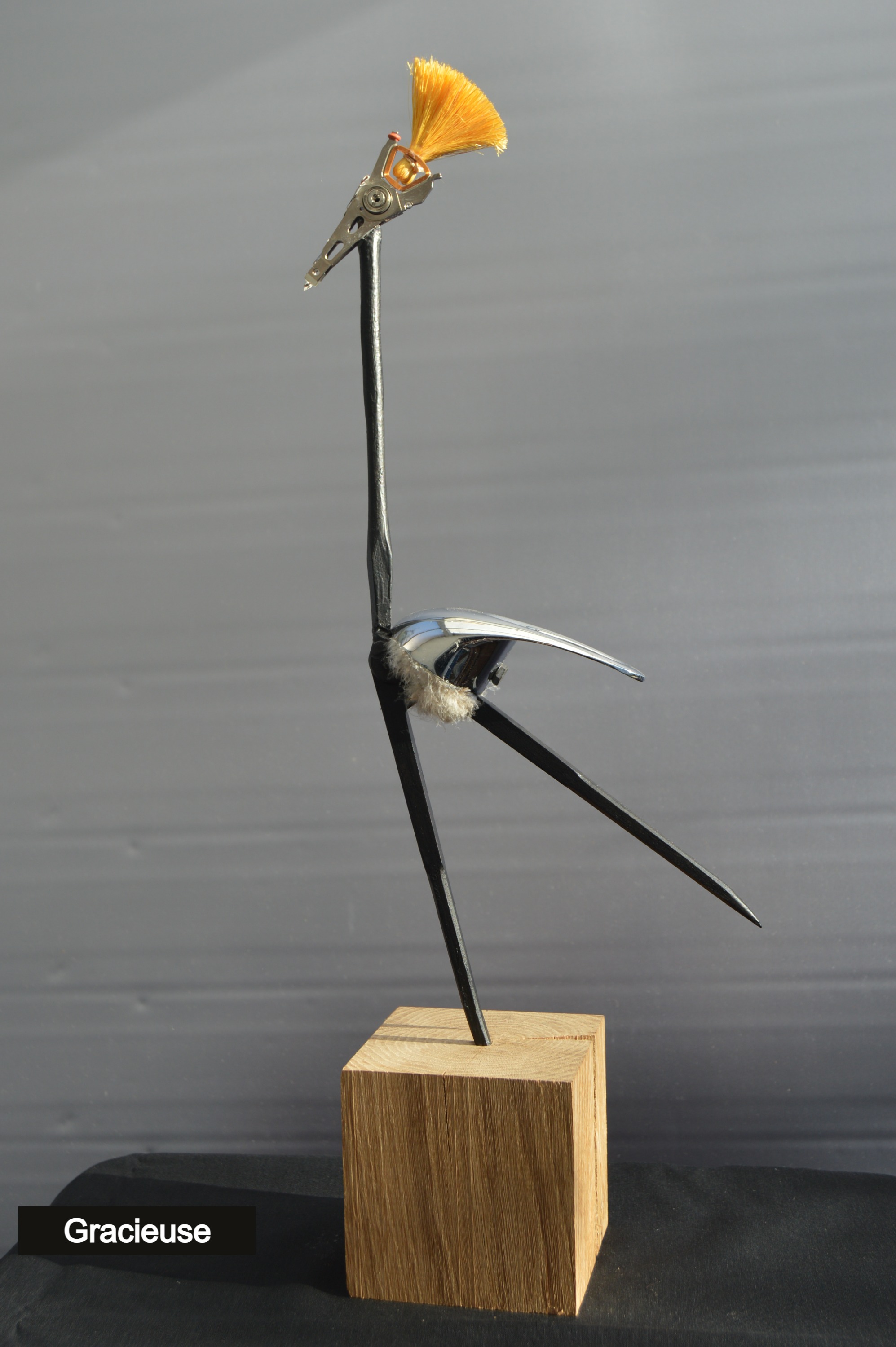 Gracieuse-recupartjacquessuet