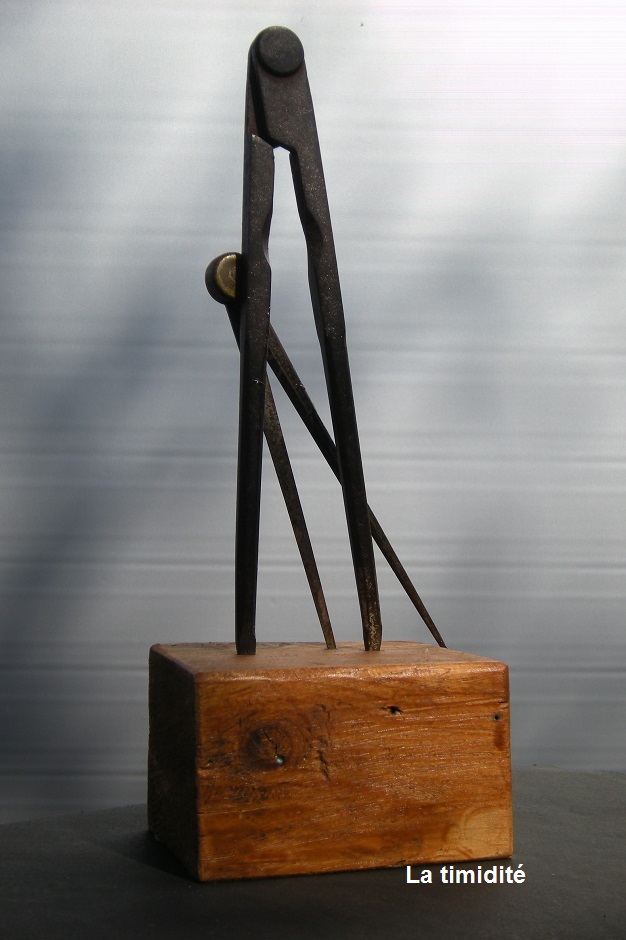 La-timidite-recupartjacquessuet