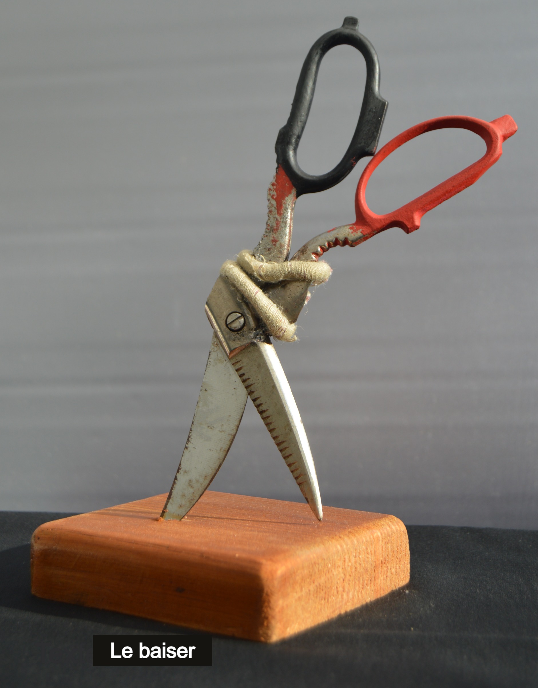 Le-baiser-recupartjacquessuet