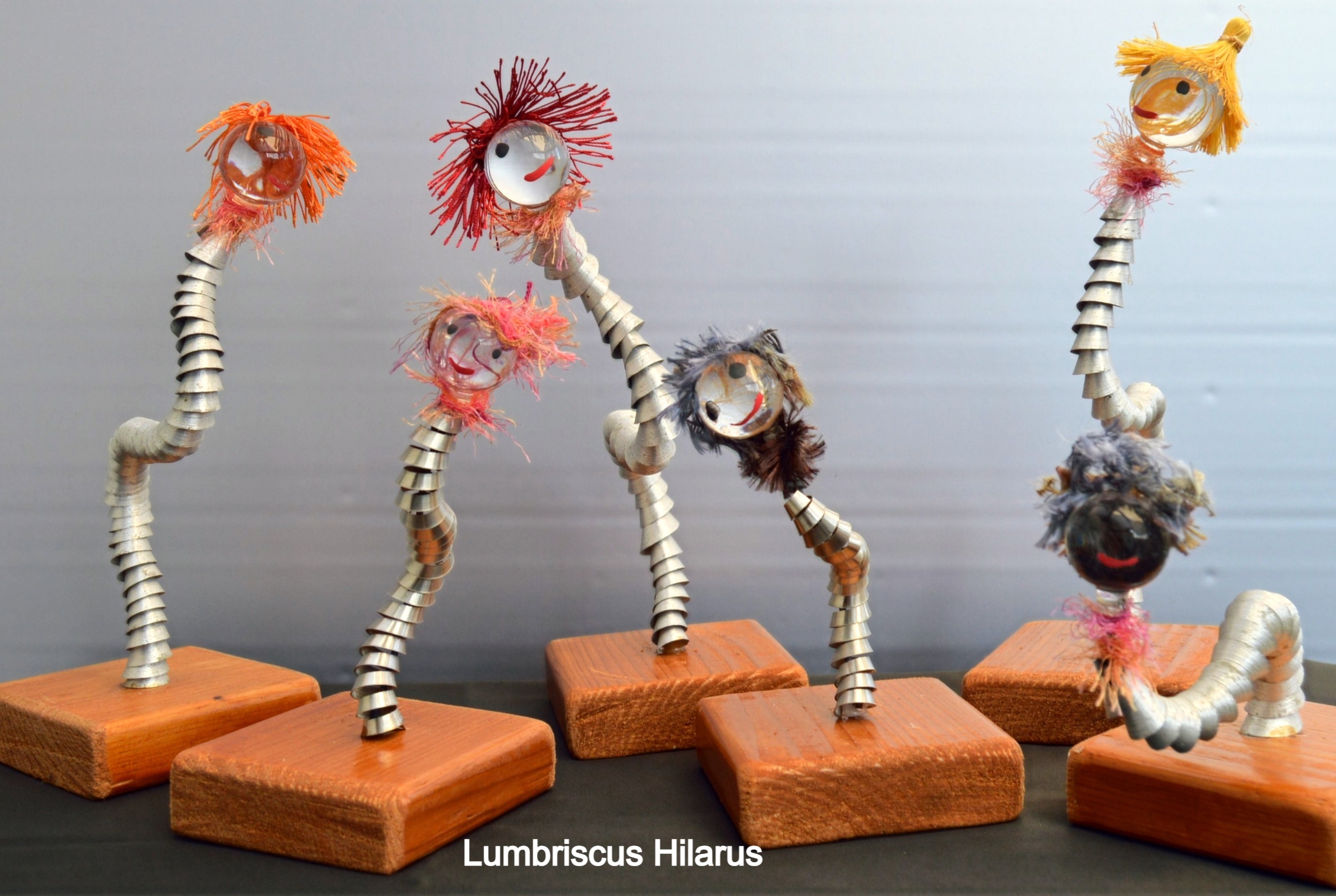 Lumbriscus-hilarus-recupartjacquessuet