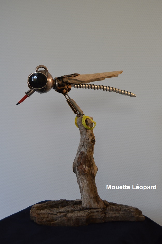 Mouette-leopard-recupartjacquessuet