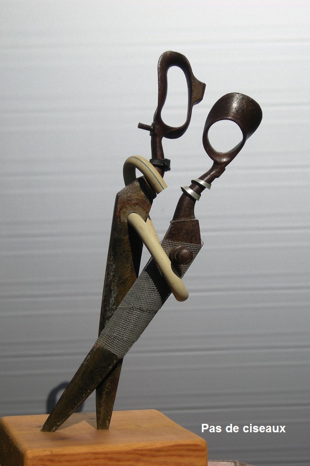 Pelican2-recupartjacquessuet