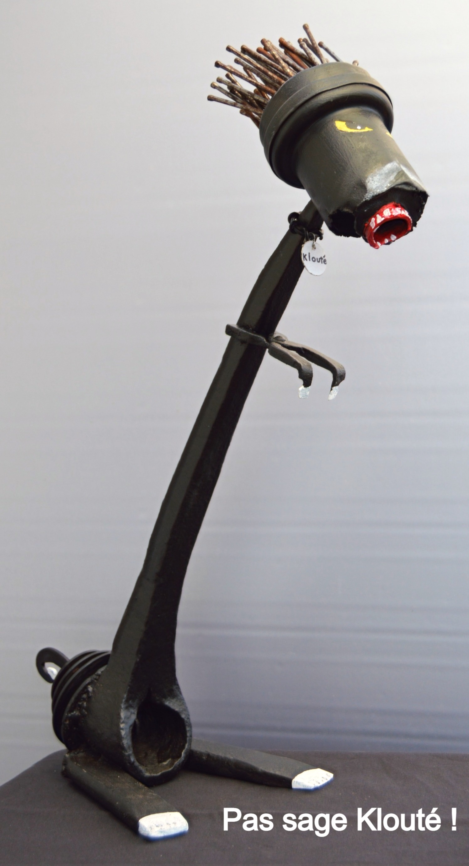 Pelican2-recupartjacquessuet