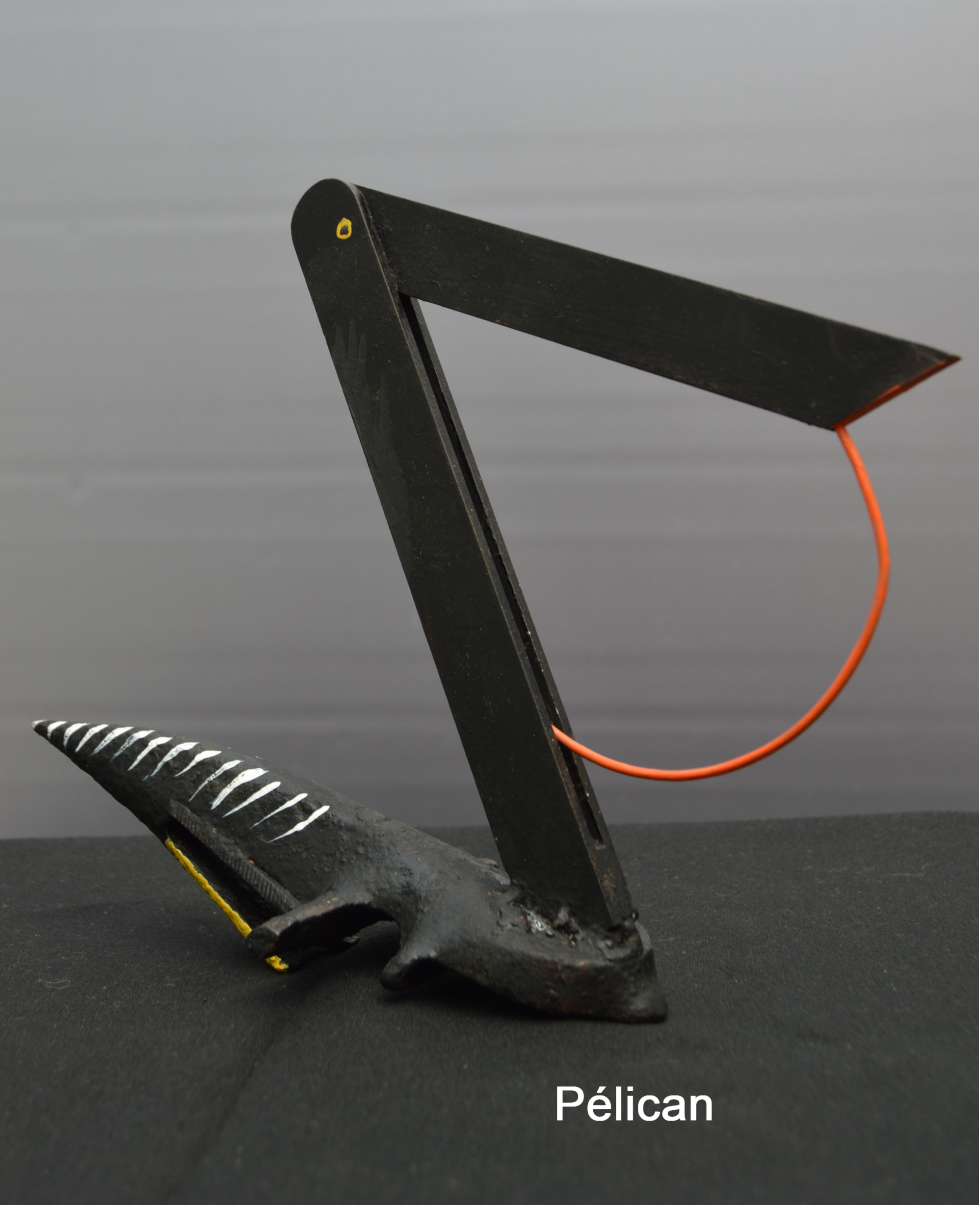 Pelican-recupartjacquessuet