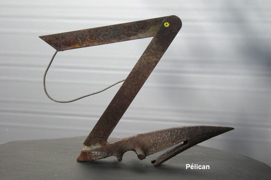 Pelican2-recupartjacquessuet