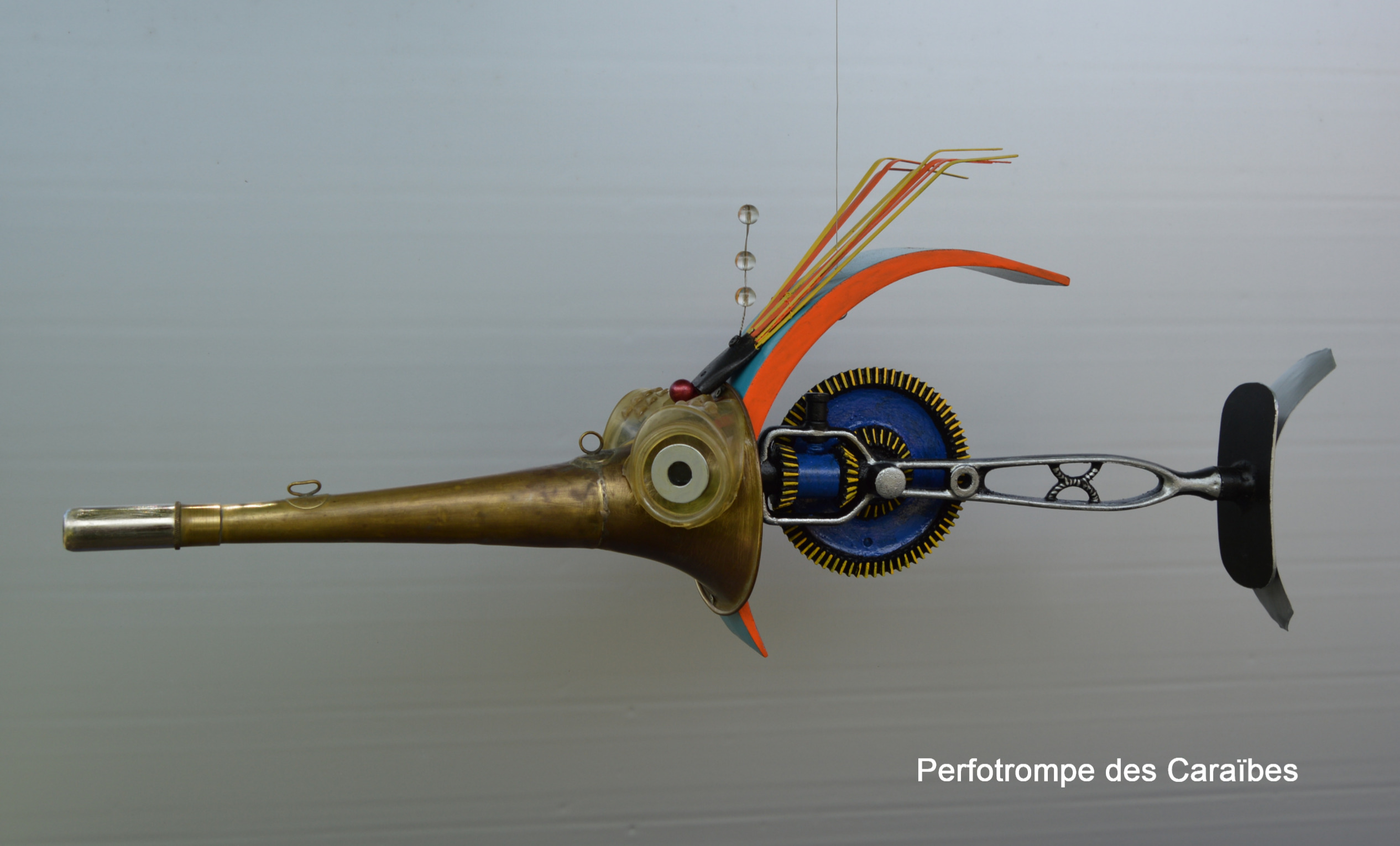 Perfotrompe-des-caraibes-recupartjacquessuet