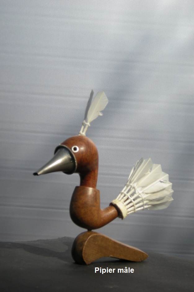 Pipier-male-recupartjacquessuet