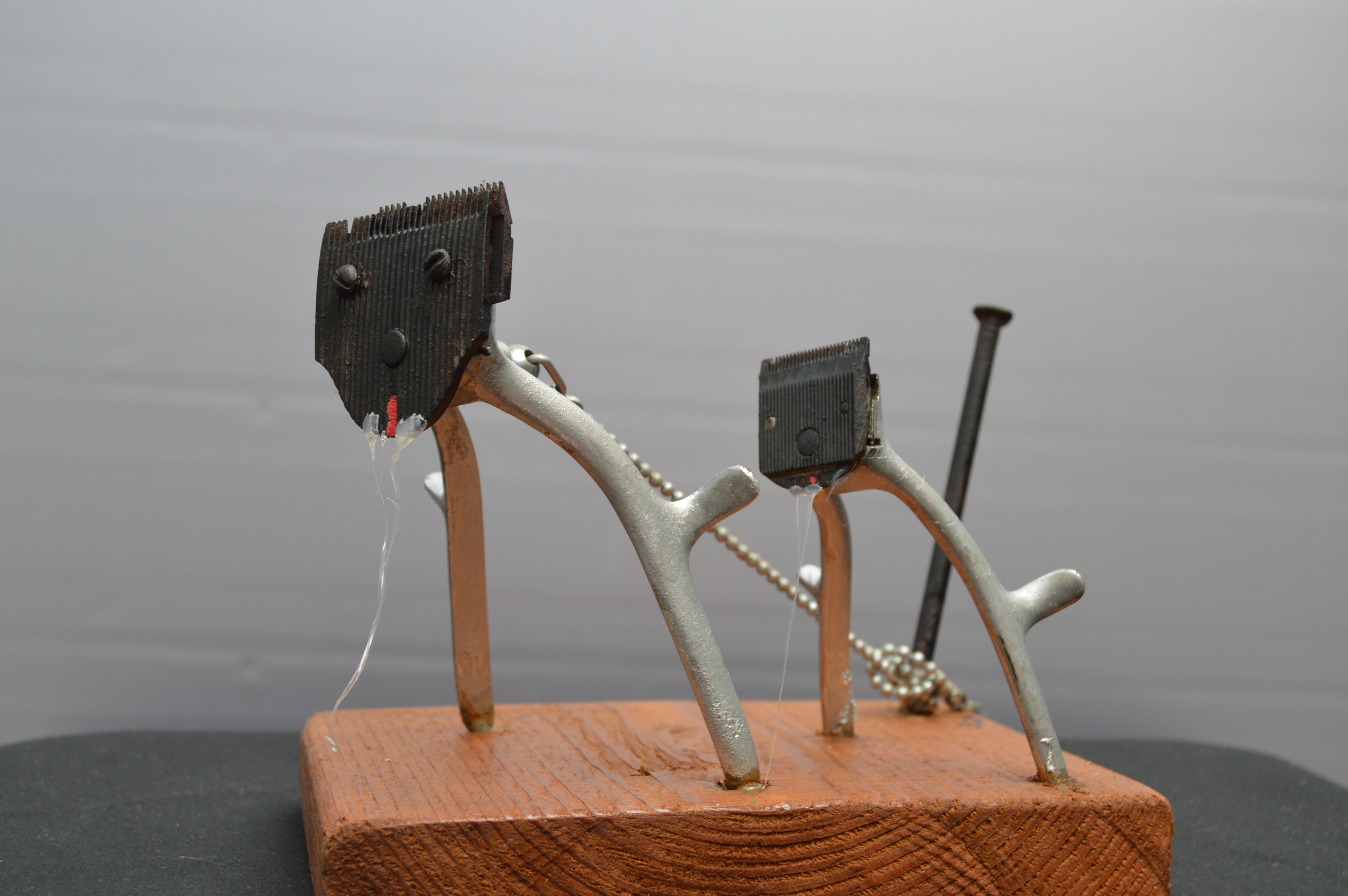 RasoirsGasteropipede