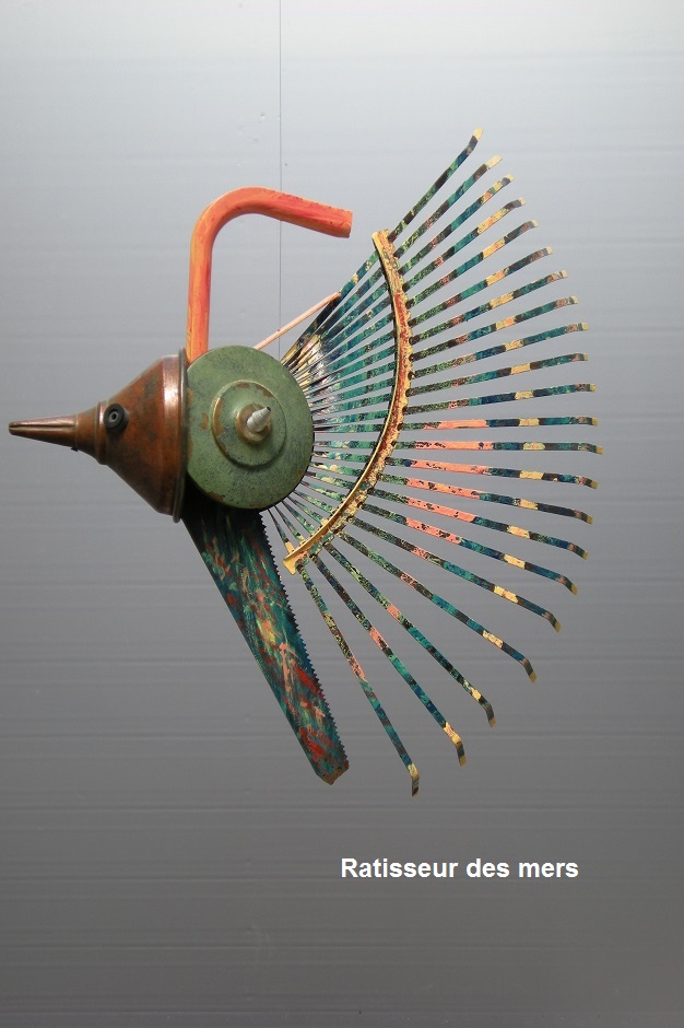 Ratisseur-des-mer-recupartjacquessuet