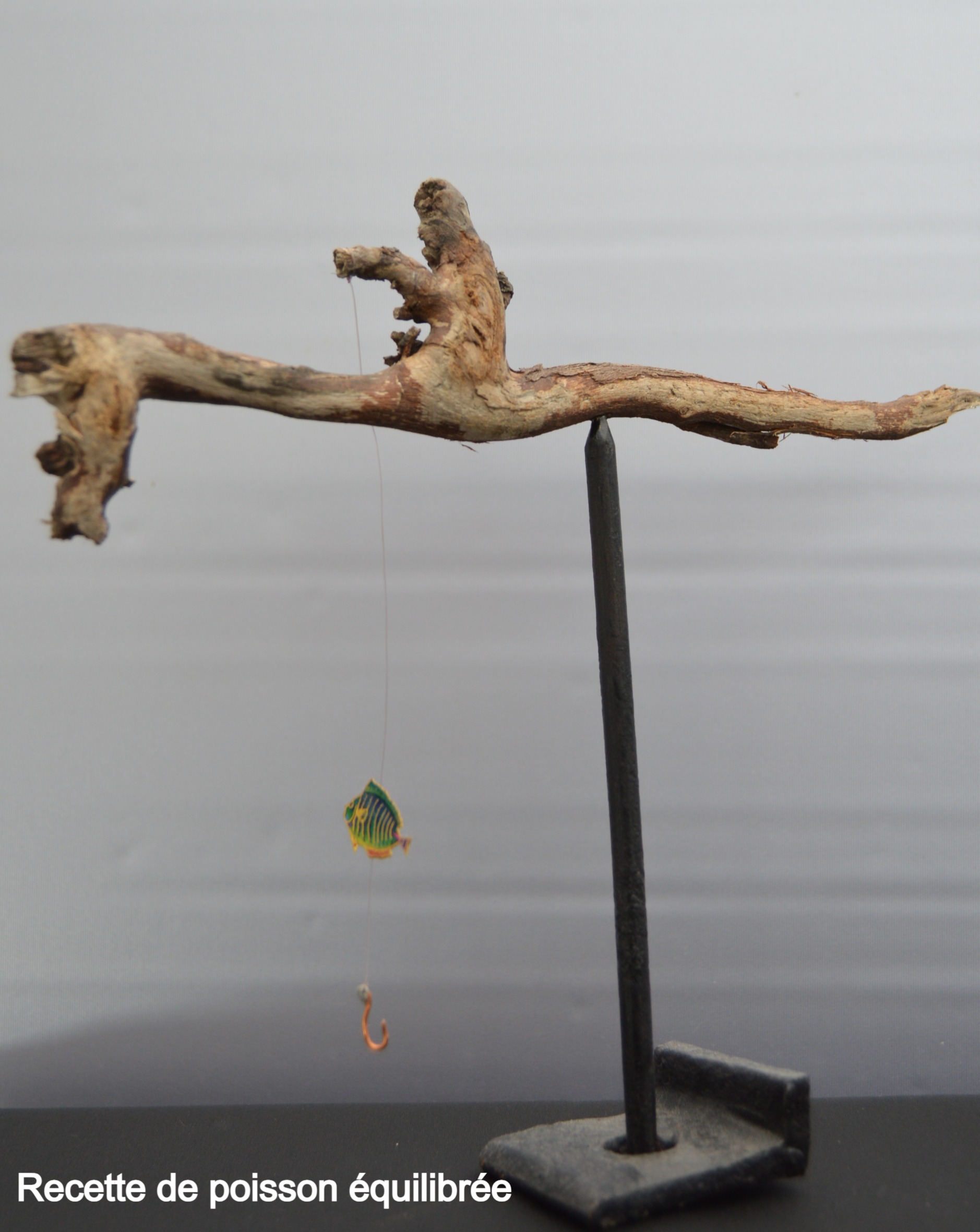 Recette-de-poisson-equilibree-recupartjacquessuet