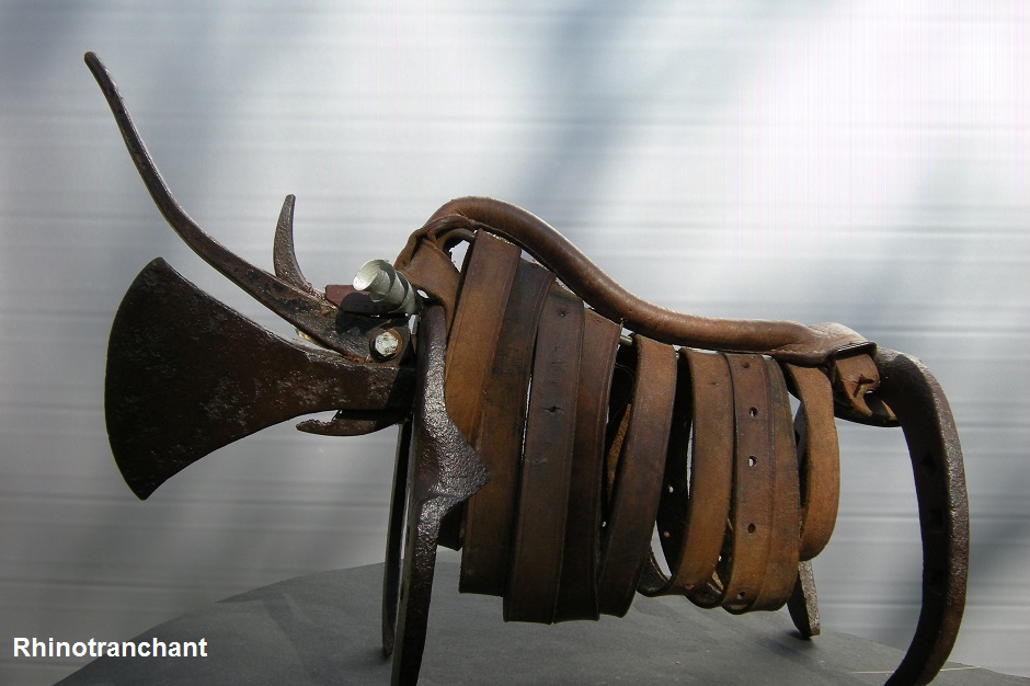 Rhinotranchant-recupartjacquessuet