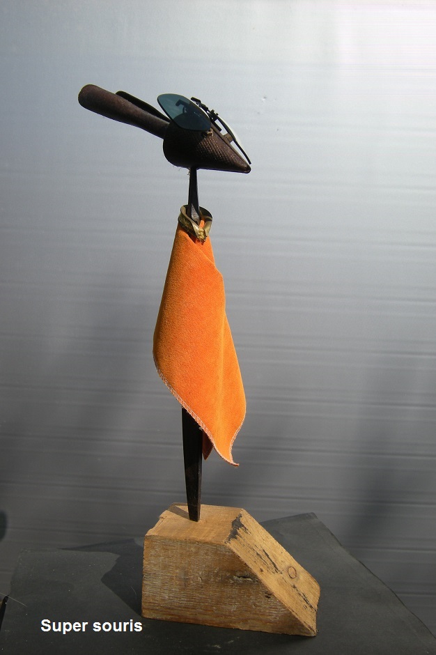 Super-souris-recupartjacquessuet