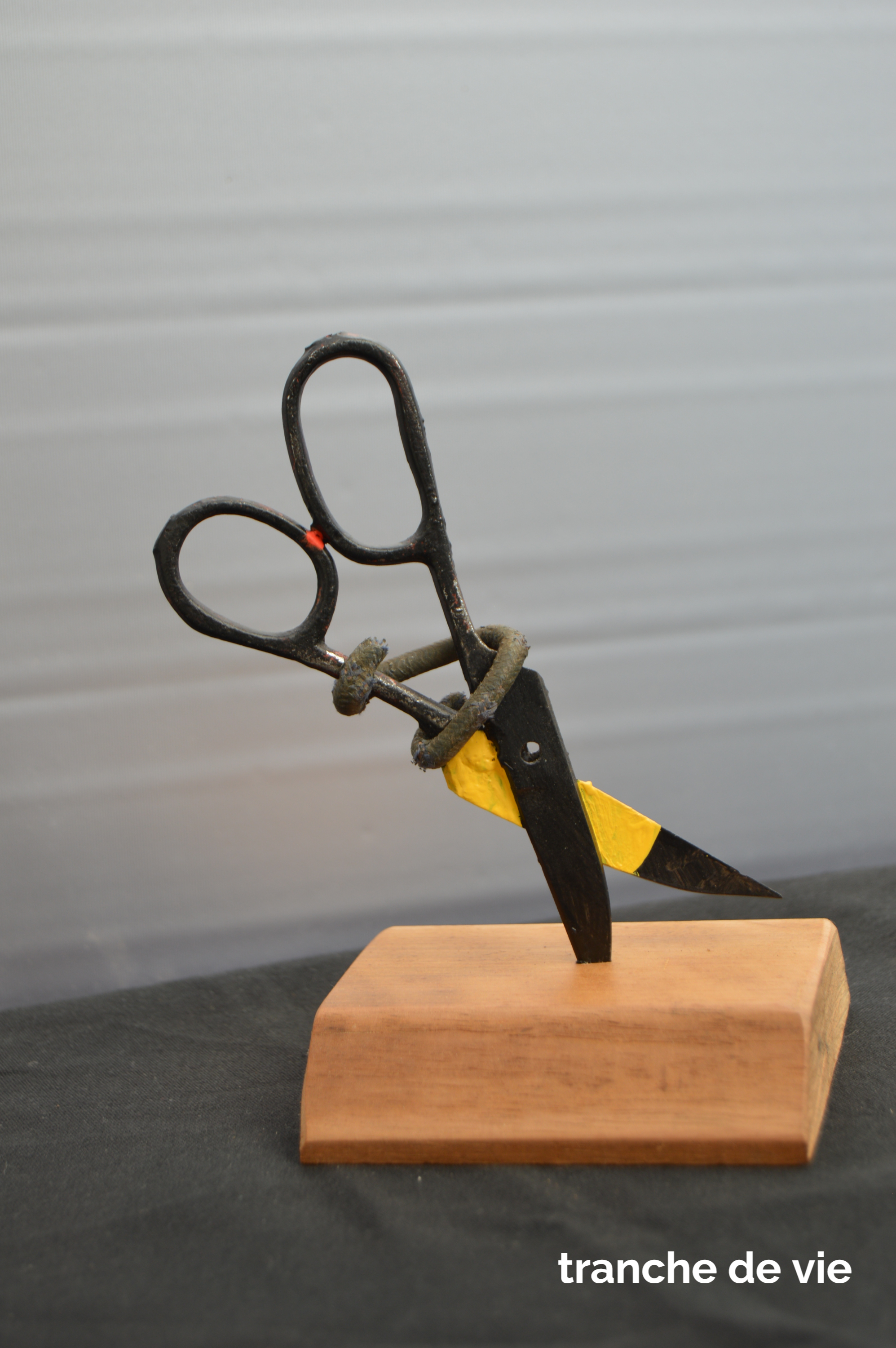 Tranche de vie_recupartjacquessuet